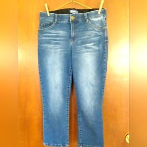 Democracy Absolution Jean Capri Size 16